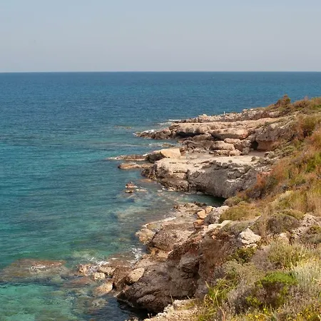 μιμόζα 3*